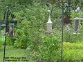 2006-0811goldfinches